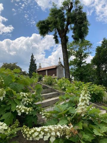 Eido Do Rei - Hospedaxe Rural Hotel Понтеареас Екстериор снимка